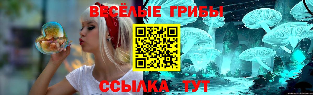 купить закладку  Вход с VPN  Конаково  Псилоцибиновые грибы Cubensis 