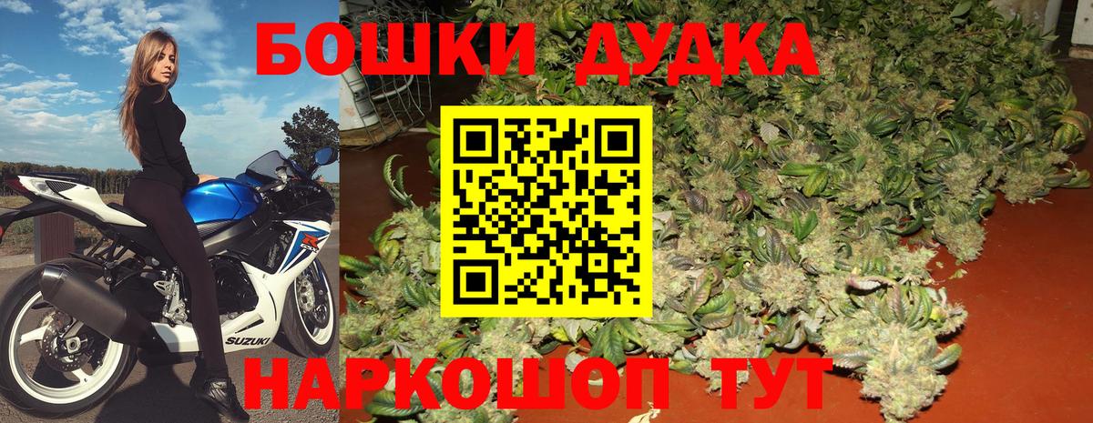 Каннабис OG Kush Конаково